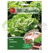 Legutko Sałata Justyna na taśmie 7 metrów - Nasiona i cebule Legutko Sałata Justyna na taśmie 7 metrów - Nasiona i cebule - miniaturka - grafika 1