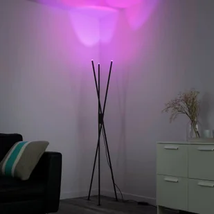 Paul Neuhaus Q-Smart-Home Q-PETER lampa stojąca LED, RGB/CCT - Lampy stojące - miniaturka - grafika 5
