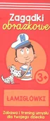 Powieści i opowiadania - zbiorowe Opracowanie ŁAMIGŁÓWKI ZAGADKI W OBRAZKACH KAPITAN NAUKA - miniaturka - grafika 1