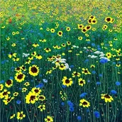 Kartki okolicznościowe i zaproszenia - Susan Entwistle Susan Entwistle Karnet z kopertą Kwiaty 452208 - miniaturka - grafika 1