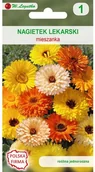 Nasiona i cebule - Legutko Nagietek lekarski MIESZANKA - miniaturka - grafika 1