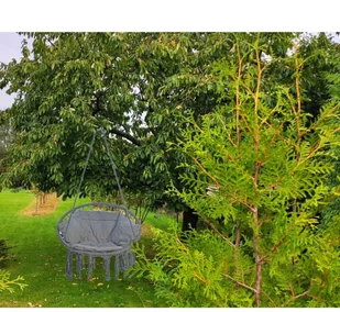 SASKA GARDEN Hamak ażurowy fotel wiszący 80x60cm luxe z poduszką szary 1026954 - Fotele ogrodowe wiszące - miniaturka - grafika 9