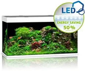 Akwaria i zestawy akwarystyczne - Juwel Rio 350 LED jasne drewno - akwarium Rio 350 LED 07850 - miniaturka - grafika 1