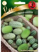 Nasiona i cebule - Legutko Ogórek ozdobny MIESZANKA GATUNKÓW - miniaturka - grafika 1