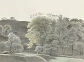 Fototapety - Esta Home Fototapeta na flizelinie blade drzewa 158892_opcje - miniaturka - grafika 1