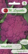 Nasiona i cebule - Legutko sp. z o.o Nasiona Kalafior Di Sicilia violetto, fioletowy - miniaturka - grafika 1