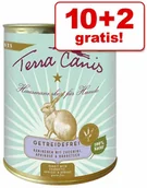 Mokra karma dla psów - Terra Canis bez zbóż 12 x 800 g Konina z brukwią koprem włoskim i szałwią - miniaturka - grafika 1