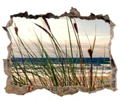 Naklejki na ścianę - Wallmuralia.pl Dziura 3d w ścianie naklejka Nadmorskie wydmy - miniaturka - grafika 1