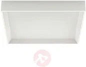 Lampy sufitowe - Linea Light Lampa sufitowa LED Tara Q, kątowa, 40 x 40 cm - miniaturka - grafika 1