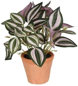 Sztuczne kwiaty - SPLENDID Trzykrotka sztuczna w doniczce 22 cm SPLENDID - miniaturka - grafika 1