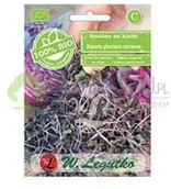 Nasiona na kiełki - Legutko Nasiona na kiełki kapusty czerwonej BIO 10g - miniaturka - grafika 1