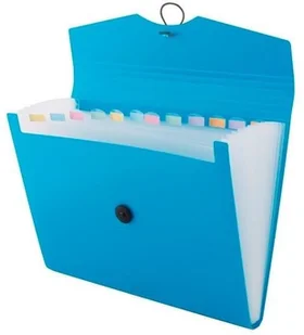 D.rect Teczka A4 12 przegródek niebieska - Teczki i skoroszyty D.rect Teczka A4 12 przegródek niebieska - Teczki i skoroszyty - miniaturka - grafika 1