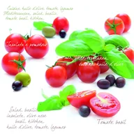 Folia, papier śniadaniowy, serwetki - Nuova R2S R2S Serwetki stołowe R2S 20 szt 414 PMI - miniaturka - grafika 1