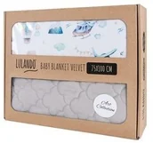 Koce i narzuty dla dzieci - Lulando Art Collection Kocyk 75x100 cm Plane 1379579 - miniaturka - grafika 1