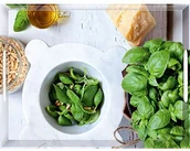 Tace i patery - Emsa Klasyczna taca, 50 x 37 cm 516877 - miniaturka - grafika 1