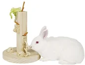 Akcesoria dla gryzoni - Kerbl 81764 nikogo i zabawka edukacyjna Nager feedtree, 25 x 25 x 30 cm - miniaturka - grafika 1