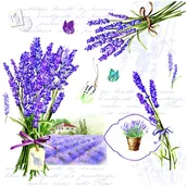 Folia, papier śniadaniowy, serwetki - Nuova R2S R2S Serwetki stołowe R2S 20 szt 414 BDL - miniaturka - grafika 1