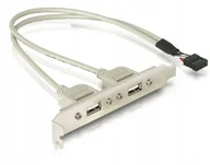 Kontrolery - DeLOCK Gniazdo 2xUSB 2.0 na śledziu - miniaturka - grafika 1