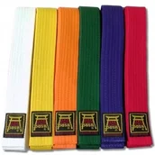 Kimona, stroje i obuwie - Pas pasy karate taekwondo judo Bushi 2,0m; 200 cm - miniaturka - grafika 1