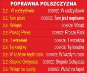Pomoce naukowe - Poprawna polszczyzna nr 1 ES033 - miniaturka - grafika 1