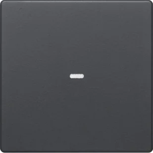 Berker Hager Hager KNX easy Q.1/Q.3 antracyt Klawisz z soczewką do modułu przycisku 1-krotnego B_80960226 - Systemy inteligentnych domów Berker Hager Hager KNX easy Q.1/Q.3 antracyt Klawisz z soczewką do modułu przycisku 1-krotnego B_80960226 - Systemy inteligentnych domów - miniaturka - grafika 1