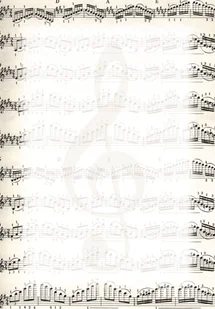 Argo DYPLOM NUTY 170G. /25/ - Dyplomy i okładki - miniaturka - grafika 3