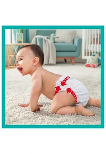 Pampers Premium Care 4 Maxi 38szt - Pieluchy - miniaturka - grafika 3