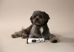 AESCULAP AESCULAP Maszynka do strzyżenia Aesculap Akkurata akumulatorowa biała GT405 - Maszynki i nożyczki dla psów - miniaturka - grafika 4