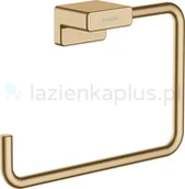 Wieszaki łazienkowe - Hansgrohe AddStoris wieszak inny 41754140 - miniaturka - grafika 1