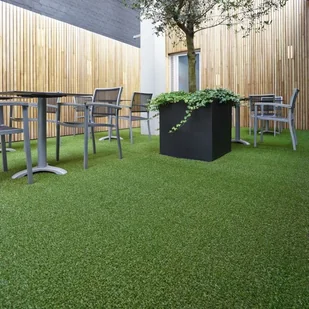 Sztuczna trawa Amelia 4 m 200079 - Trawy i trawniki - miniaturka - grafika 2