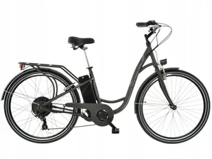 SKYMASTER Energy Eco 28'' 2020 - Rowery elektryczne - miniaturka - grafika 2