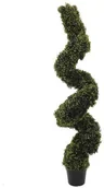 Sztuczne drzewka - Europalms Euro Palms 82607611 Buch sspiral drzewo 150 cm 82607611 - miniaturka - grafika 1