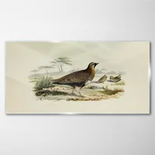 Obrazy i zdjęcia - PL Coloray Obraz Szklany Ptaki Dzikie Zwierzęta 140x70cm - miniaturka - grafika 1