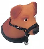 Smycze dla psów - dr Seidla Uzdowa Border Terrier, Jack Russell, Westie - miniaturka - grafika 1