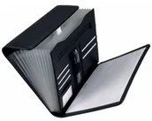 Teczki i skoroszyty - Alassio Teczka z przegródkami Vado A31511 - miniaturka - grafika 1