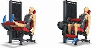 Marbo Sport Maszyna 2-w-1 na dwugłowy i czworogłowy uda MP-U216 - Atlasy do ćwiczeń Marbo Sport Maszyna 2-w-1 na dwugłowy i czworogłowy uda MP-U216 - Atlasy do ćwiczeń - miniaturka - grafika 2