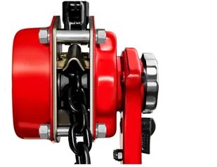 Vidaxl Steinberg Systems łańcuchowa - 750 kg - 2 m - Wciągarki - miniaturka - grafika 4