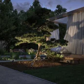 Lampy ogrodowe - Paulmann Plug & Shine reflektor z grotem LED Radix - miniaturka - grafika 1