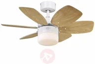Wentylatory sufitowe - Westinghouse FLORA ROYALE NEW 78788 - miniaturka - grafika 1