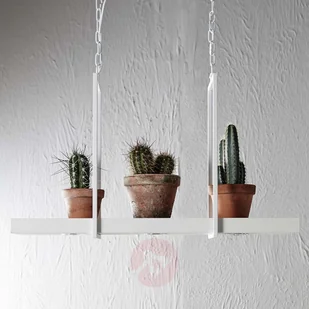 Markslojd Zwis sufitowy 3pl TRAY 106124 - Lampy sufitowe - miniaturka - grafika 2