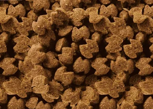 Eukanuba Breed Specific Adult Boxer 12 kg - Sucha karma dla psów - miniaturka - grafika 2