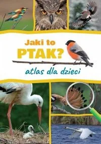 Jaki to ptak? Atlas dla dzieci - Książki edukacyjne - miniaturka - grafika 2