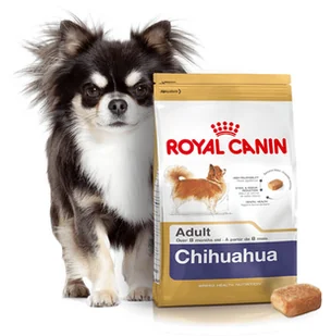 Royal Canin Chihuahua Adult 3 kg - Sucha karma dla psów - miniaturka - grafika 2