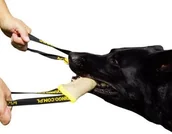 Zabawki dla psów - Dingo ZABAWKA DLA PSA - SZARPAK Z JUTY Z DWOMA UCHWYTAMI 28/4CM - miniaturka - grafika 1