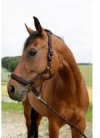 Can-agri Can-Agri Kantar Goleygo z Adapterem czarno-różowy roz.1 3221378 - Kantary dla koni - miniaturka - grafika 5