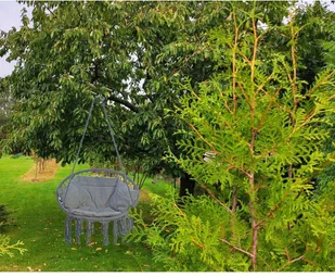 SASKA GARDEN Hamak ażurowy fotel wiszący 80x60cm luxe z poduszką szary 1026954 - Fotele ogrodowe wiszące - miniaturka - grafika 24