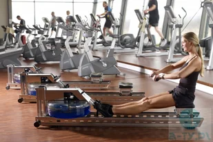 WaterRower Wioślarz wodny S1 LoRise S4 Stal a-ty WW-WR-400-S4 - Wioślarze - miniaturka - grafika 21