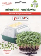 Nasiona i cebule - Plantico Nasiona na Mikrolistki Rzodkiewka 10g - miniaturka - grafika 1
