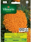 Nasiona i cebule - Vilmorin Nasiona aksamitka wzniesiona Pollux Orange - miniaturka - grafika 1