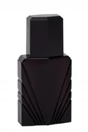 Wody i perfumy męskie - Elizabeth Taylor Passion woda kolońska 118ml - miniaturka - grafika 1